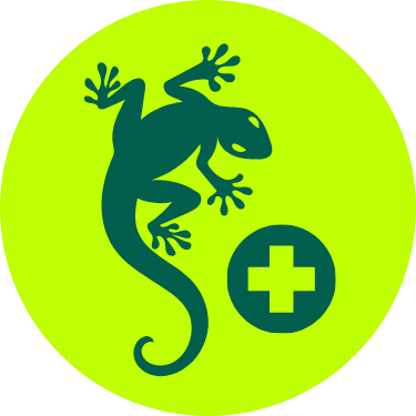 PetDesk favicon