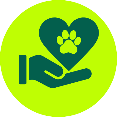 PetDesk favicon