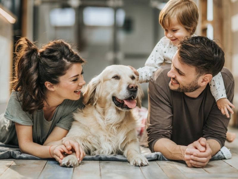 Family with dog playing